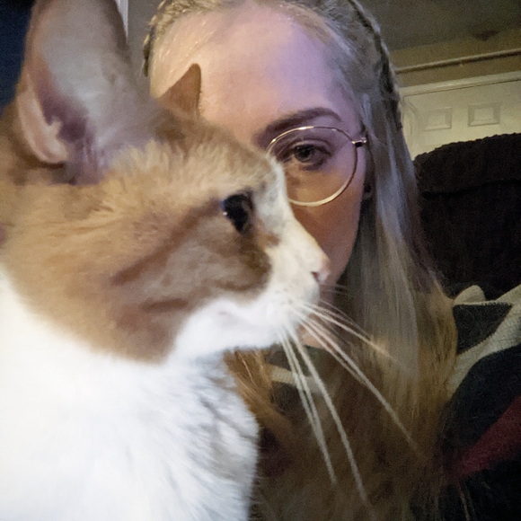 Meet your Posher, Kala - Picture 3 of 3